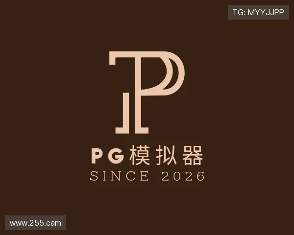 解读pg模拟器